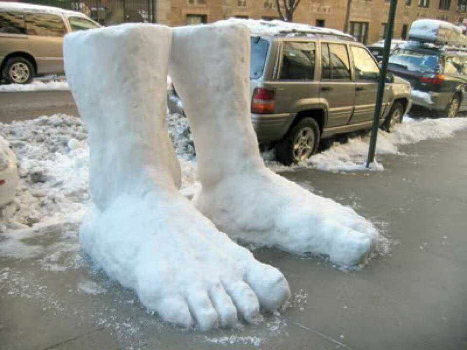 WamboRambo2's tweet photo. @JustJaneWrites Two feet of snow https://t.co/2tJTpgRo8n