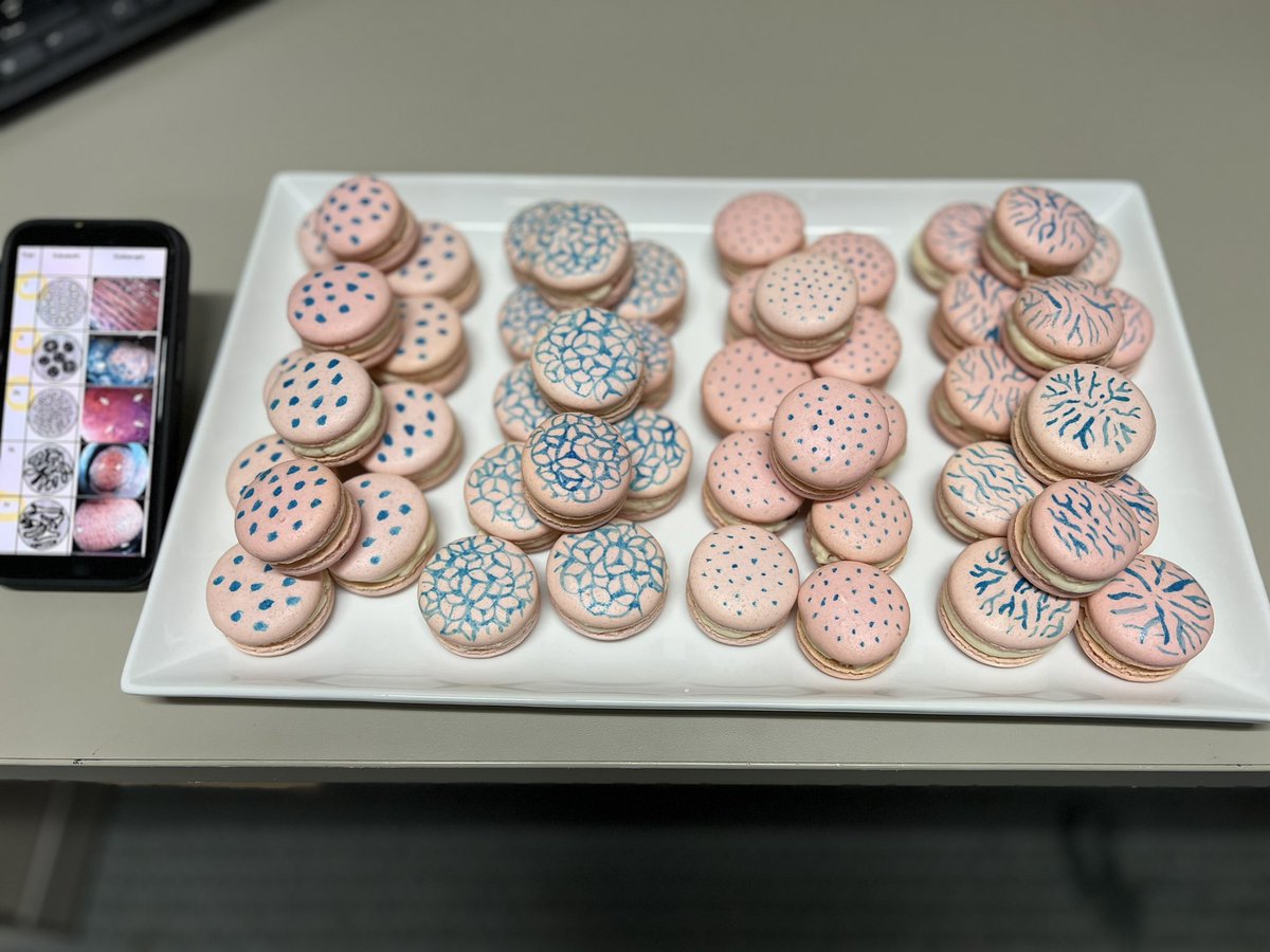 Macarons with Kudo pit patterns!!  Handmade by @WalterReedGME 3rd year GI fellow Dr. Kyler Kozacek for his talk on #crcscreening! @JohnMcCarthyMD @jared_magee @AmCollegeGastro @peyoungmd @AasmaShaukatMD @AmyOxentenkoMD @dawnmtorresmd @JLeightonMD #colorectalcancerscreening