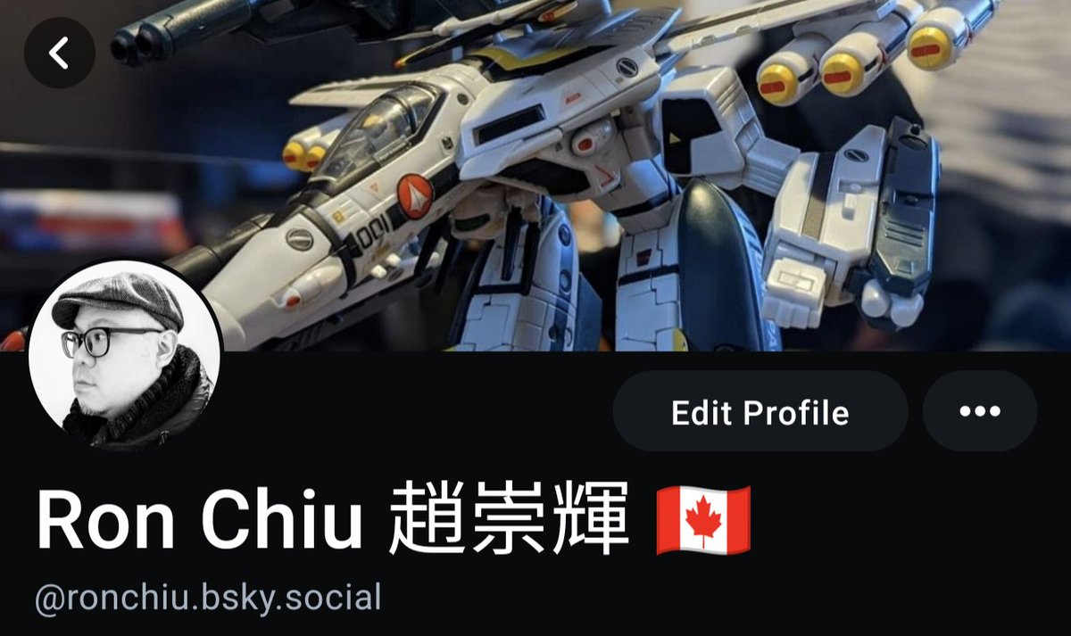 Ron Chiu 趙崇輝 🇨🇦🍁 tweet media