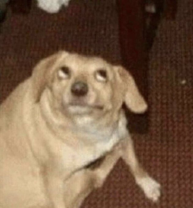 s&eacute;rio a mulher perdeu a chance dar pro zayn malik pra expor ele na internet, olha sinceramente https://t<a href="/tag/votelgbtq"class="tags"><span>#votelgbtq</span></a>