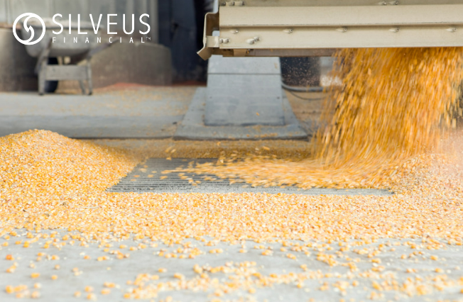 February WASDE report is released today at Noon Eastern by the UDSA.
Get all the report details from a Silveus Financial Advisor today! 800-747-1951
#Silveusfinancial #reportday #WASDE