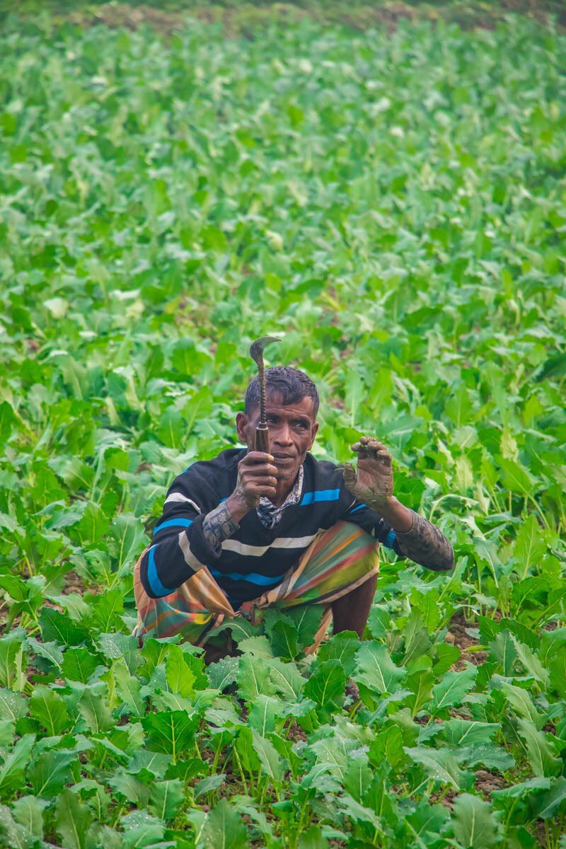 Daily life of farmer #travelphotography #travelbangladesh #wintermorning #tourorganizer #phototour #touroperator #tourguide