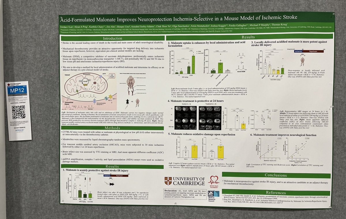 thomaskrieglab's tweet image. Had the honour to present @lordan_jee data at the #isc24 in Phoenix @AHAMeetings