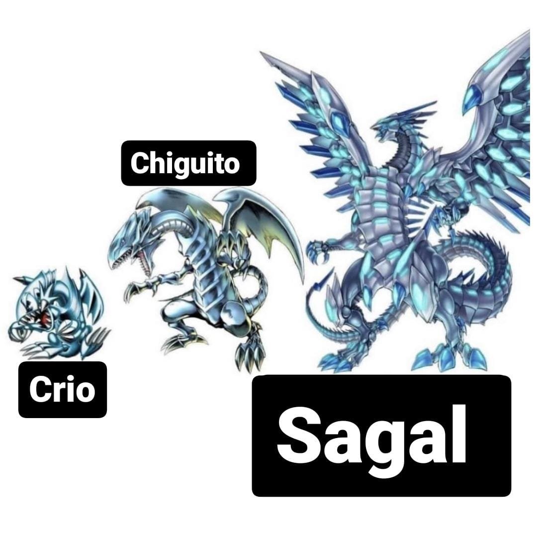 SoyDeLaVegaBaja's tweet photo. meme https://t.co/r8fknGgNW8