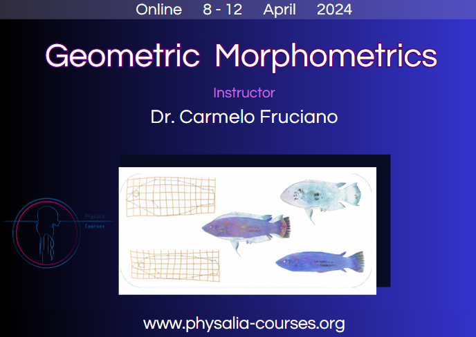 Physacourses's tweet image. Would you like to explore #GeometricMorphometrics and #PhenotypicEvolution?

Don&apos;t miss out on this upcoming course with @CarmeloFruciano in April: physalia-courses.org/courses-worksh…

Do you know anyone else who can introduce you better than him to these research areas? Prove it 🧐