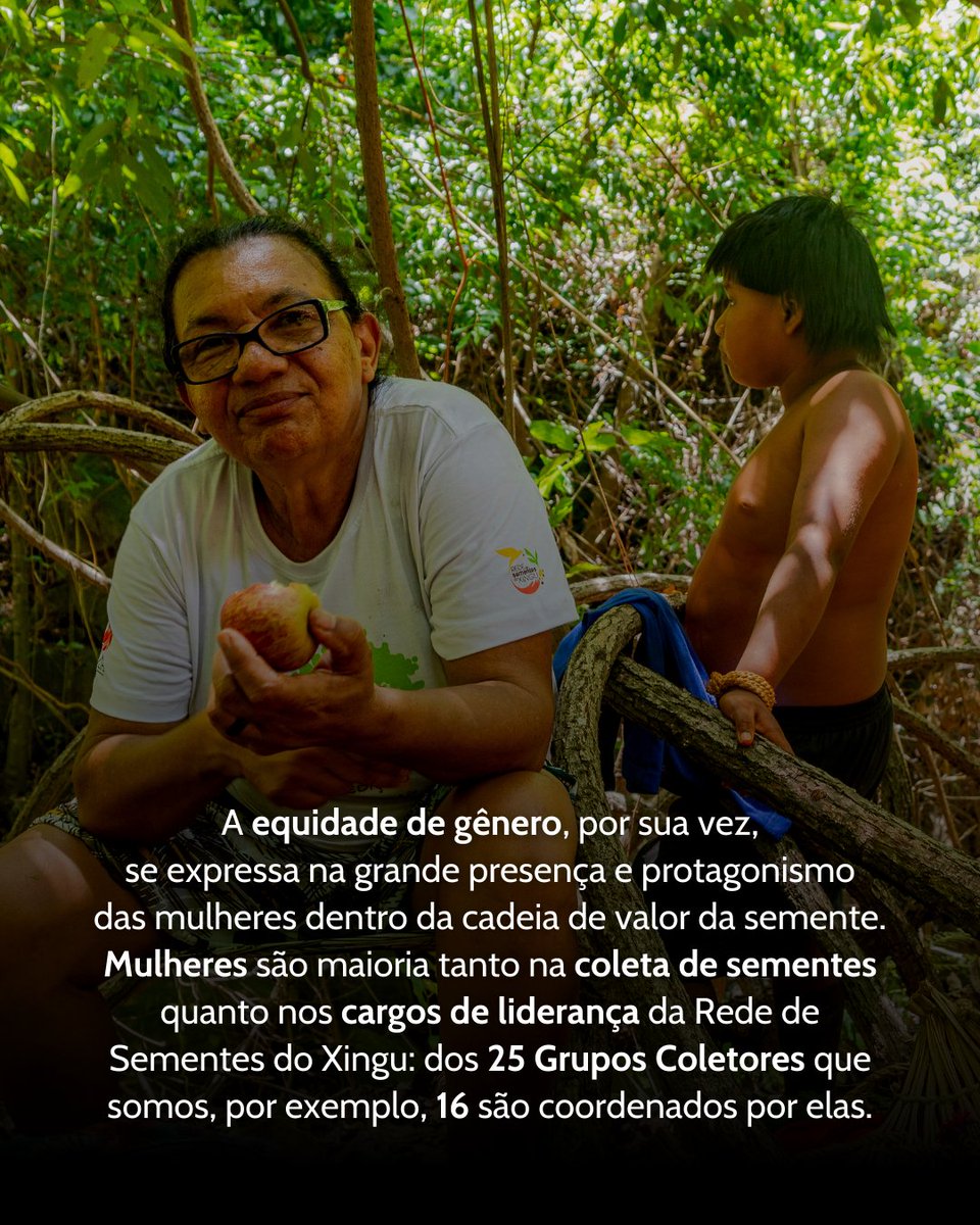 RedeXingu's tweet photo. 💫 Valorizar e incorporar conhecimentos transmitidos por gerações de comunidades indígenas e agricultores familiares nas práticas de manejo e nos métodos de conservação é fortalecer uma diversidade que promove senso de responsabilidade e conexão com a floresta. https://t.co/RWHnDe6rhm