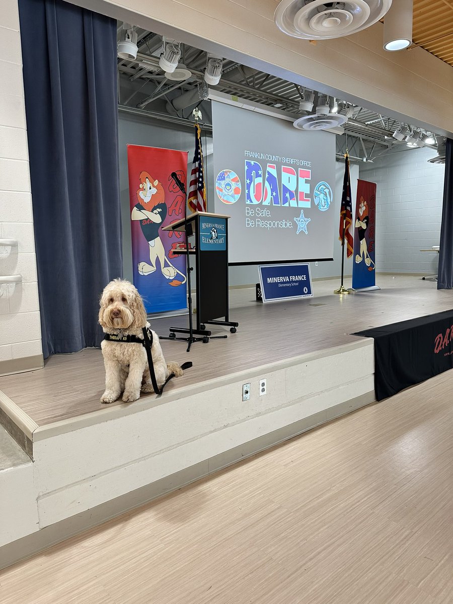 Minerva France Elementary tweet media