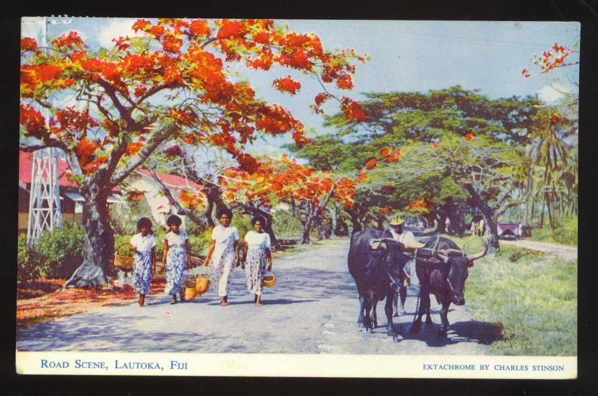 NeisauT's tweet photo. #Lautoka in the 60’s was a vibe #VinatageFiji #Fiji #Viti #SugarCity #TeamFiji https://t.co/loF8pFkHLJ