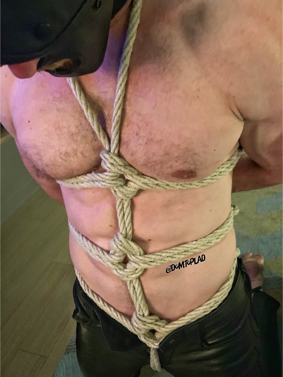 Dom Top Lad tweet media