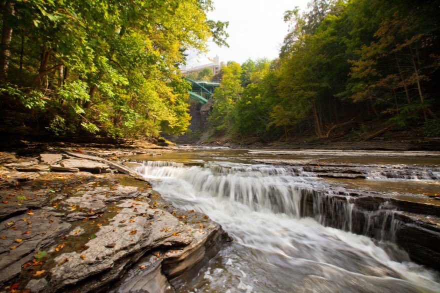 PocketSights tweet media