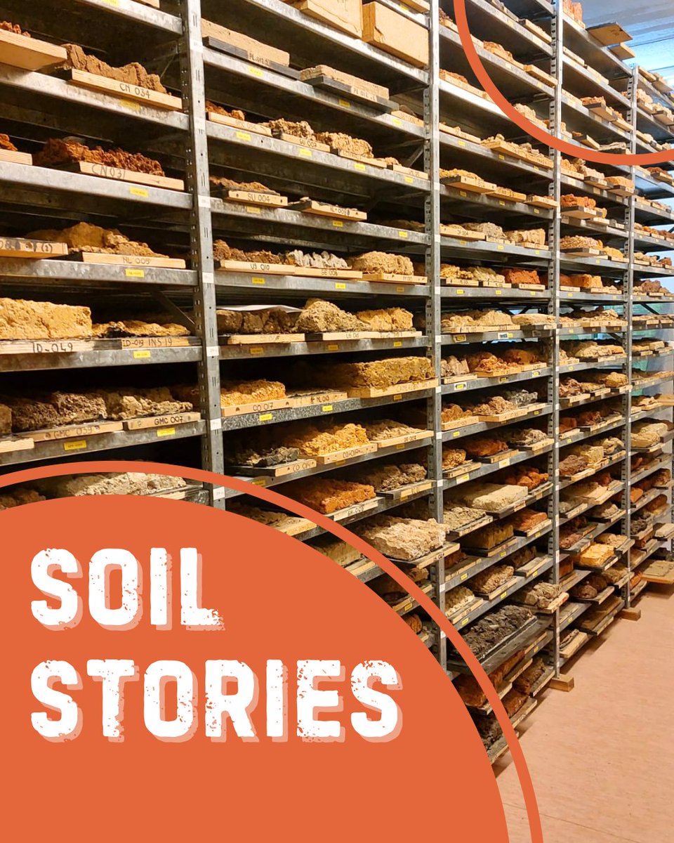 Our collection is much bigger than we can show you in the museum! We are introducing a new monthly series: Soil Stories. With this series we show you the hidden gems in our storage🔎 Curious about particular objects in our collection? Let us know! #worldsoilmuseum
