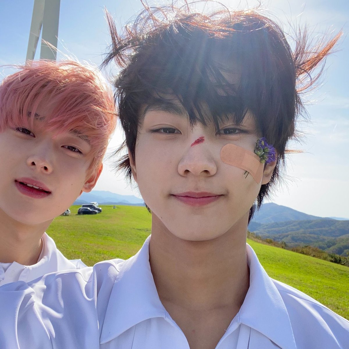 폭스 tweet media