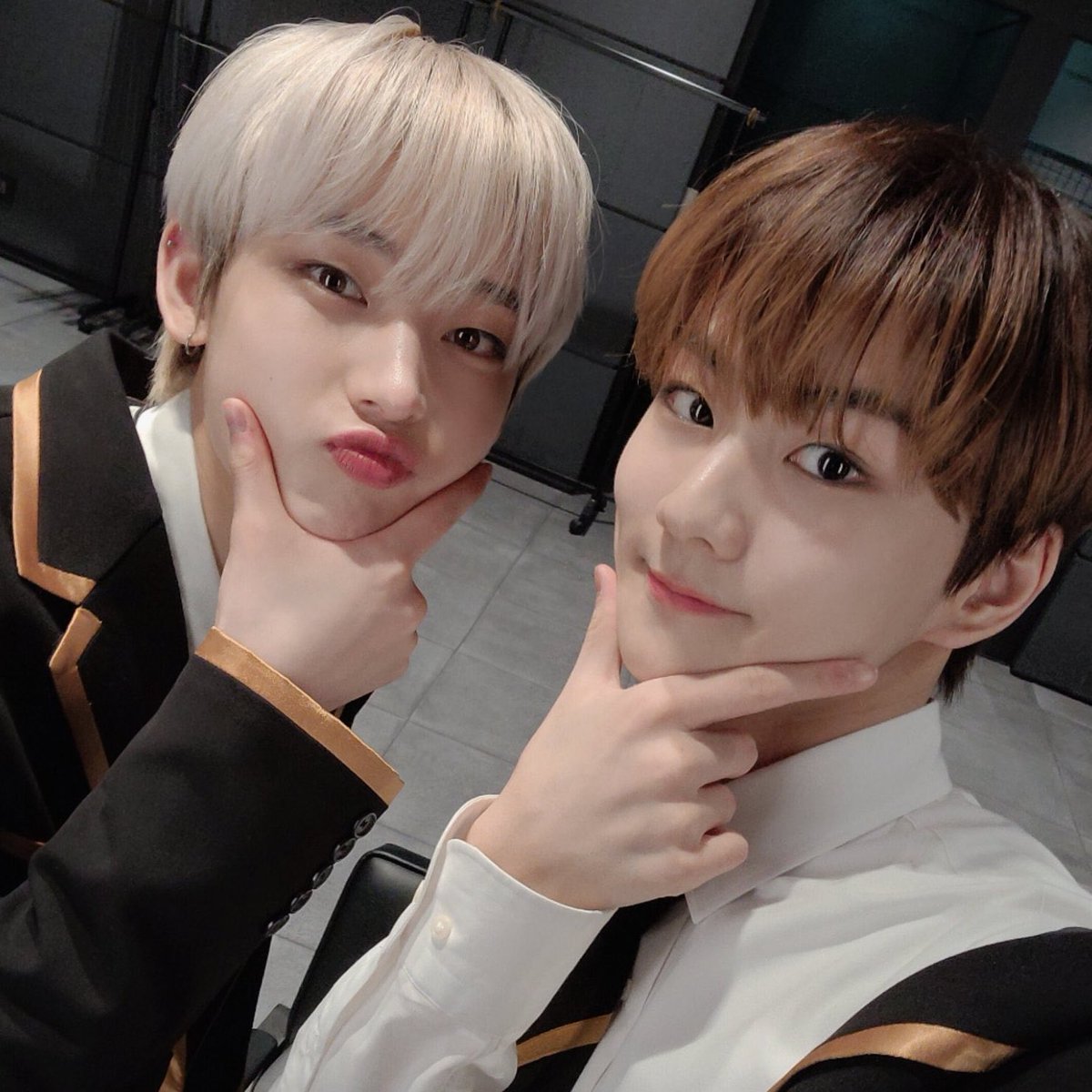 폭스 tweet media
