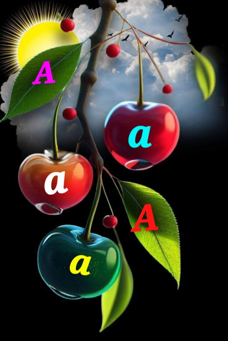 alaa amy tweet media