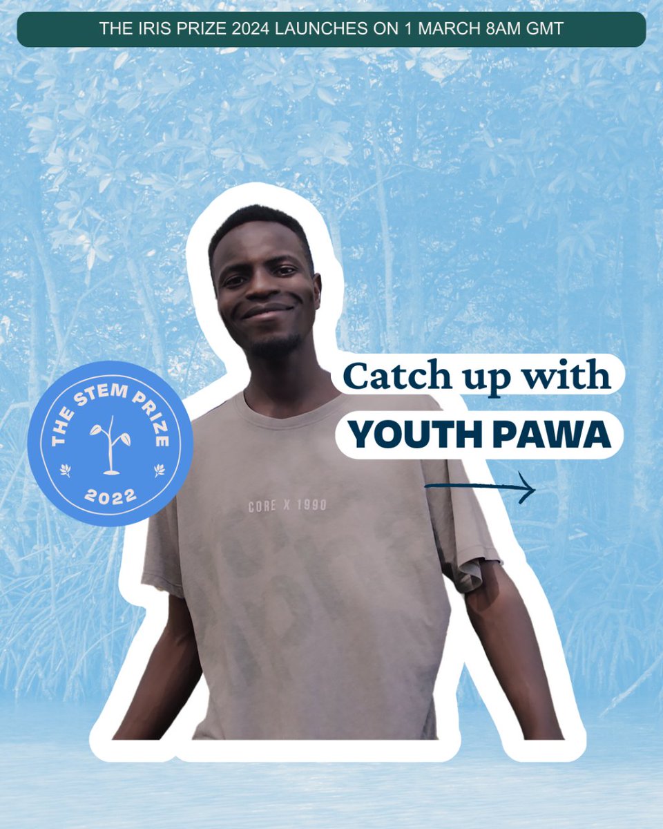 theiris_project's tweet photo. The Mangrove Restoration Eco-Project by @YouthPawaOrg is restoring the shoreline of the Indian Ocean in Mombasa. It adopts a participatory, community-based approach, engaging local residents in awareness &amp; training programmes

Sign up for our newsletter 👉 https://t.co/vhIRlsAjd0 https://t.co/vx4T22LhYG