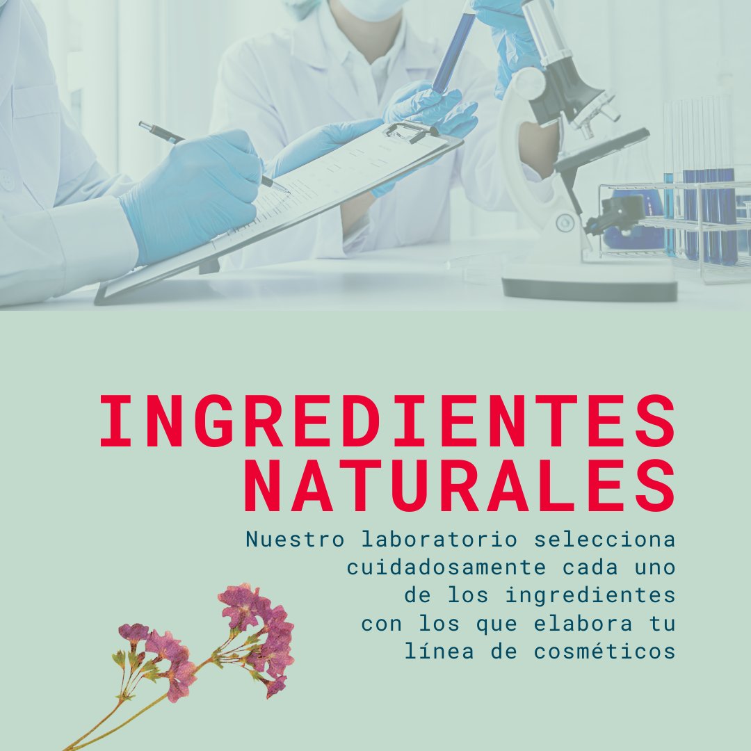 PosidoniaCosmet's tweet photo. Nuestras formulaciones siempre son elaboradas con extractos de plantas naturales.

Hacemos que tu línea de productos triunfe guiándote desde su formulación al desarrollo del producto final.

¡Contáctanos! https://t.co/iEwHQoIVur https://t.co/ddWGs5i4HP