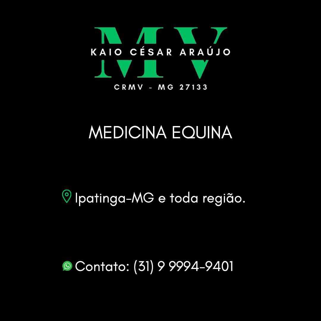 #medicinaveterinaria #veterinarioacampo #clinicaecirurgiadeequinos #valedoaco #ipatingaeregiao