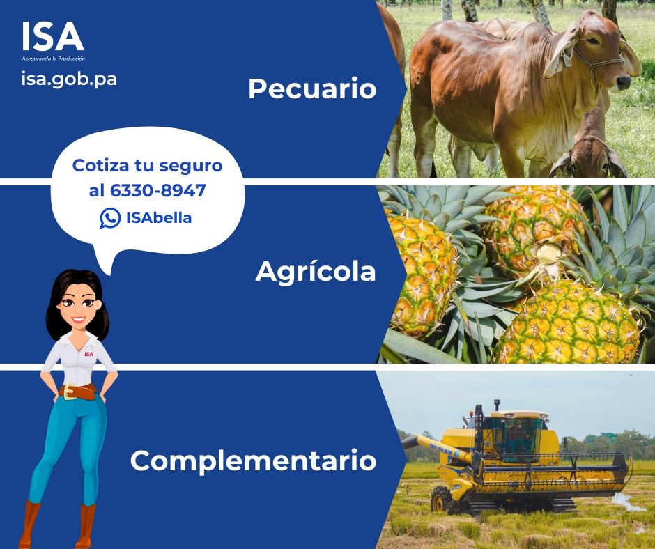 No importa si eres un pequeño productor o una empresa más grande en la ciudad o el interior, encontrarás valor en la protección y asesoría que te brinda el Instituto de Seguro Agropecuario <a href="/isapanama/">isapanama</a> 🛡️

Escríbenos a +507 6330-8947 para descubrir la información que necesitas!