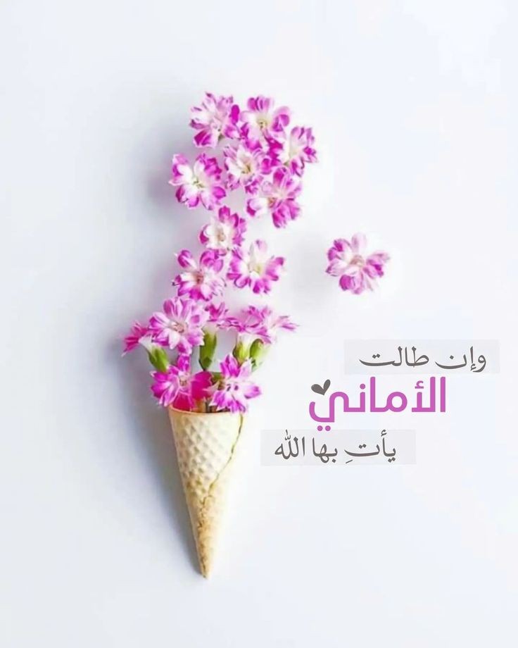 #السوداني_تثبيت_عقود_النفط