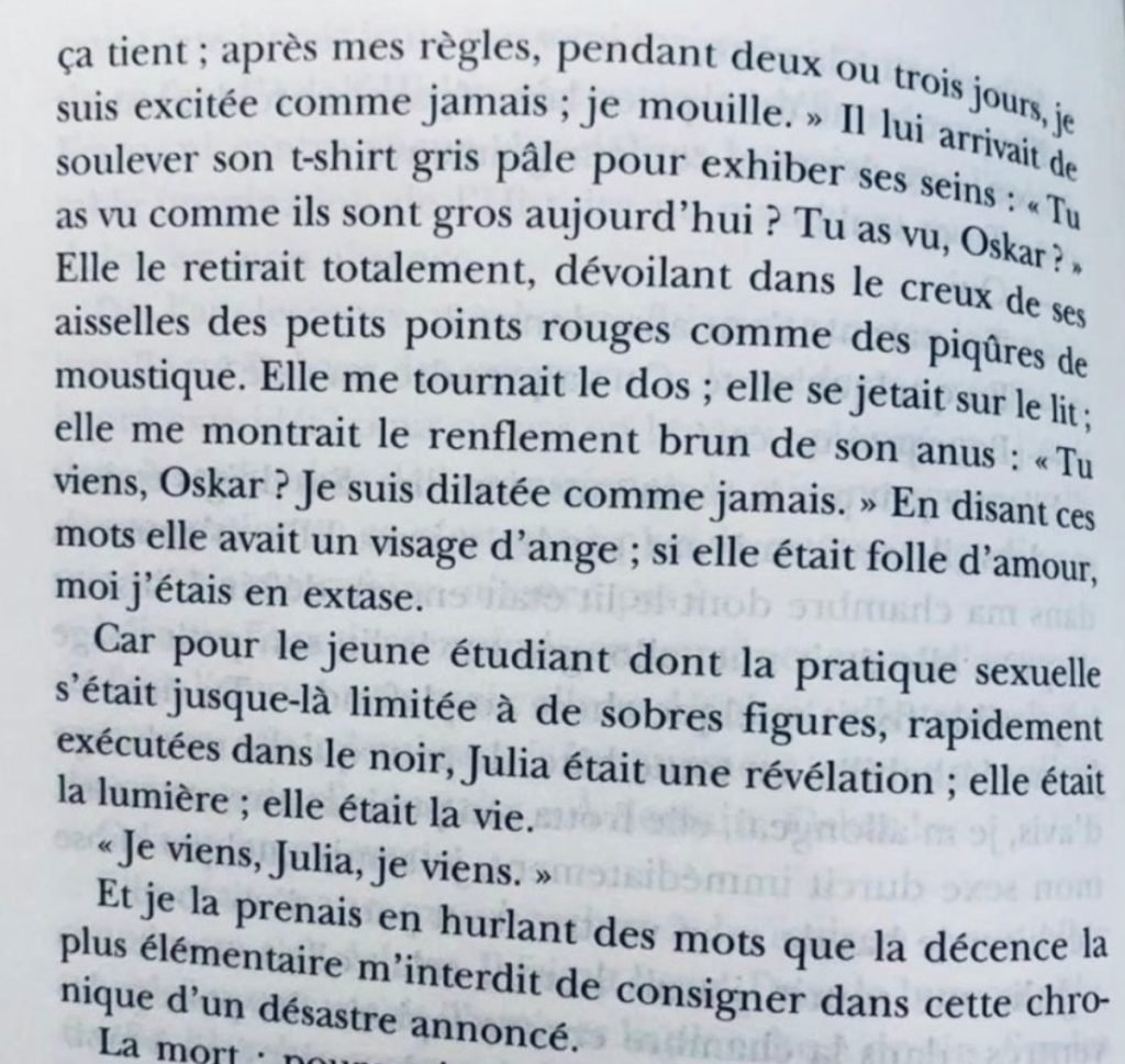 s_vikiki's tweet photo. Il parait qu'il y avait un ministre chez Palmade... 
tu remplaces Julia par Julien et hop tu mets à genoux l'économie... de la Fronce JDCJDR https://t.co/yq7Y0xh1m9