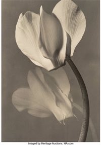 GerberArancio's tweet photo. “Solo amando possiamo imparare ad amare”
Iris Murdoch, “La campana”
#FebbraioCon #CasaLettori
Max Baur https://t.co/NNzwrldjmg