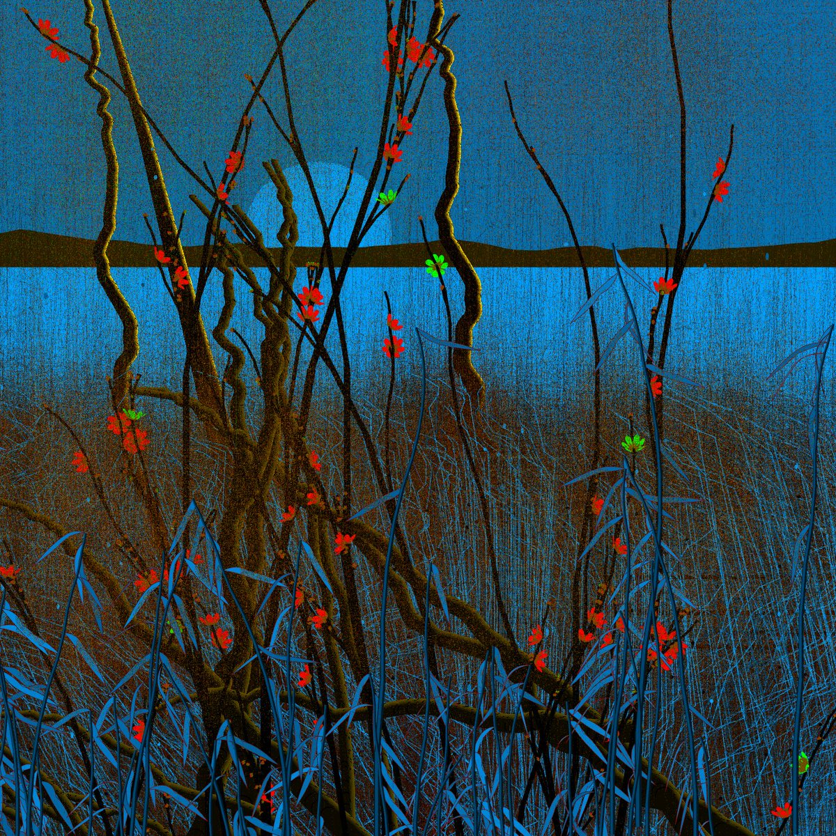 Patricia Rocha tweet media