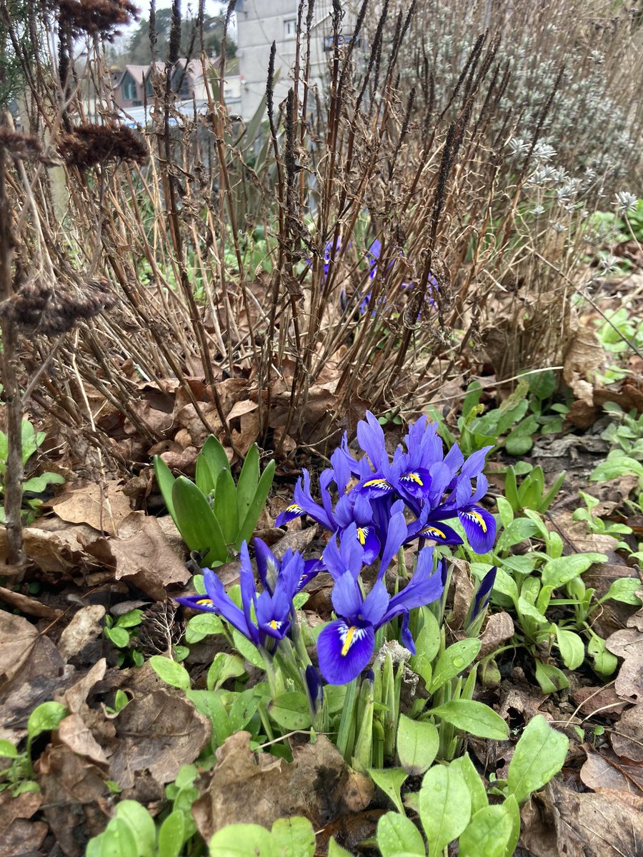 Richard Reynolds tweet media