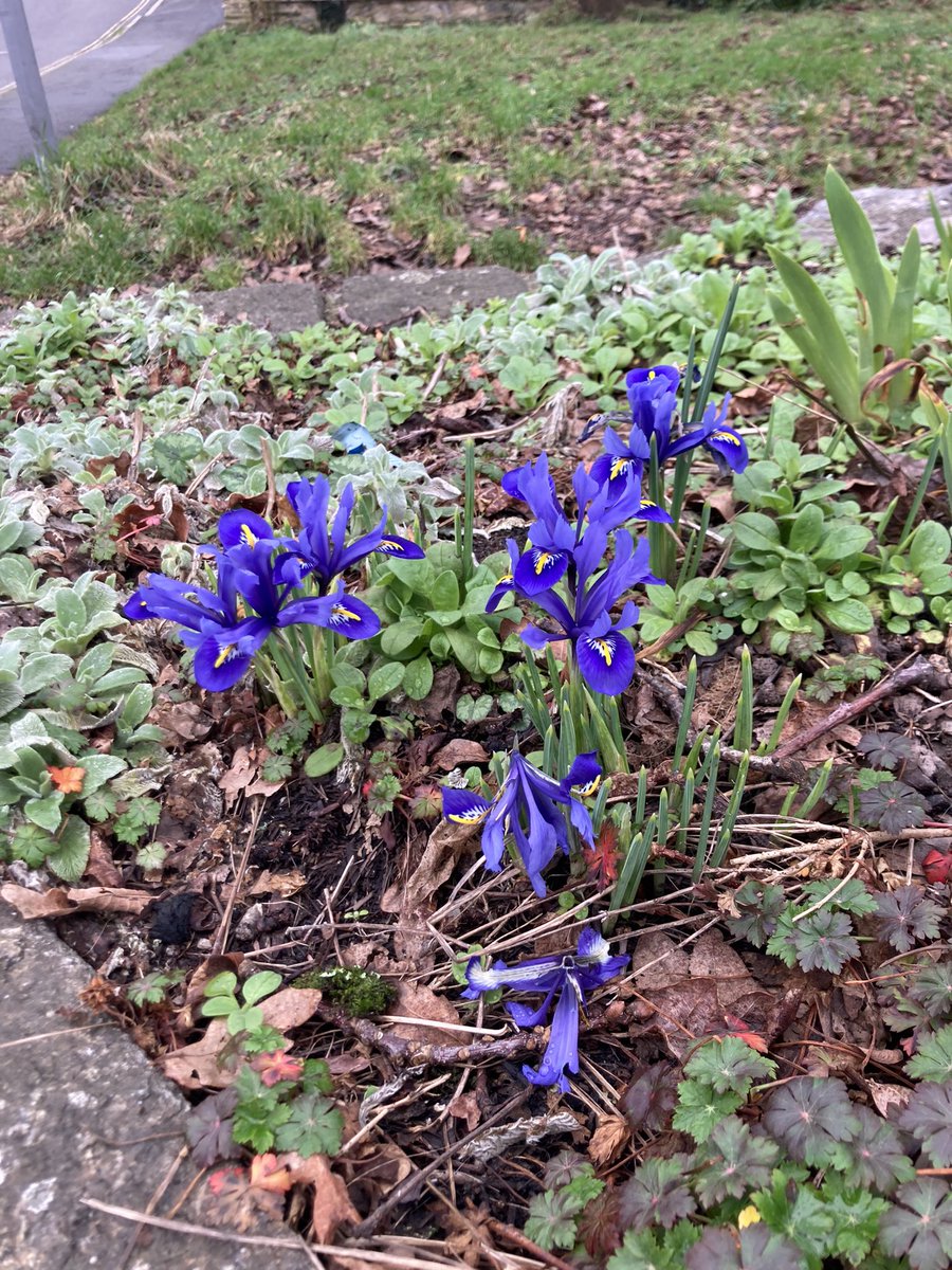 Richard Reynolds tweet media