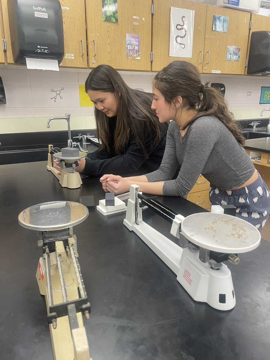 Meghan Campion tweet media