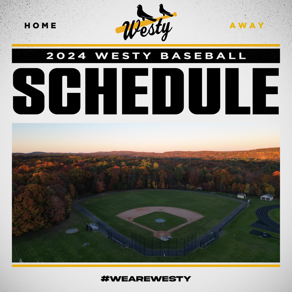 Westminster Baseball tweet media