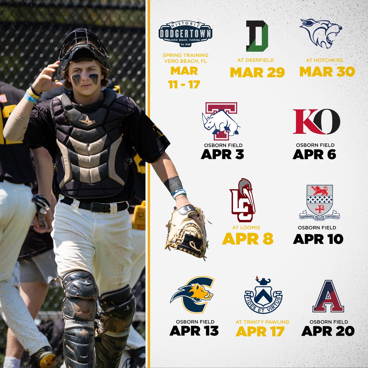 Westminster Baseball tweet media
