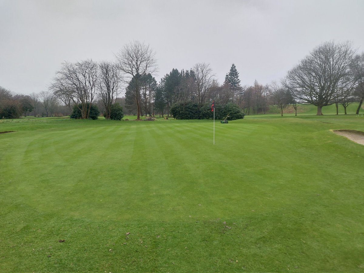 Chorlton Greens tweet media