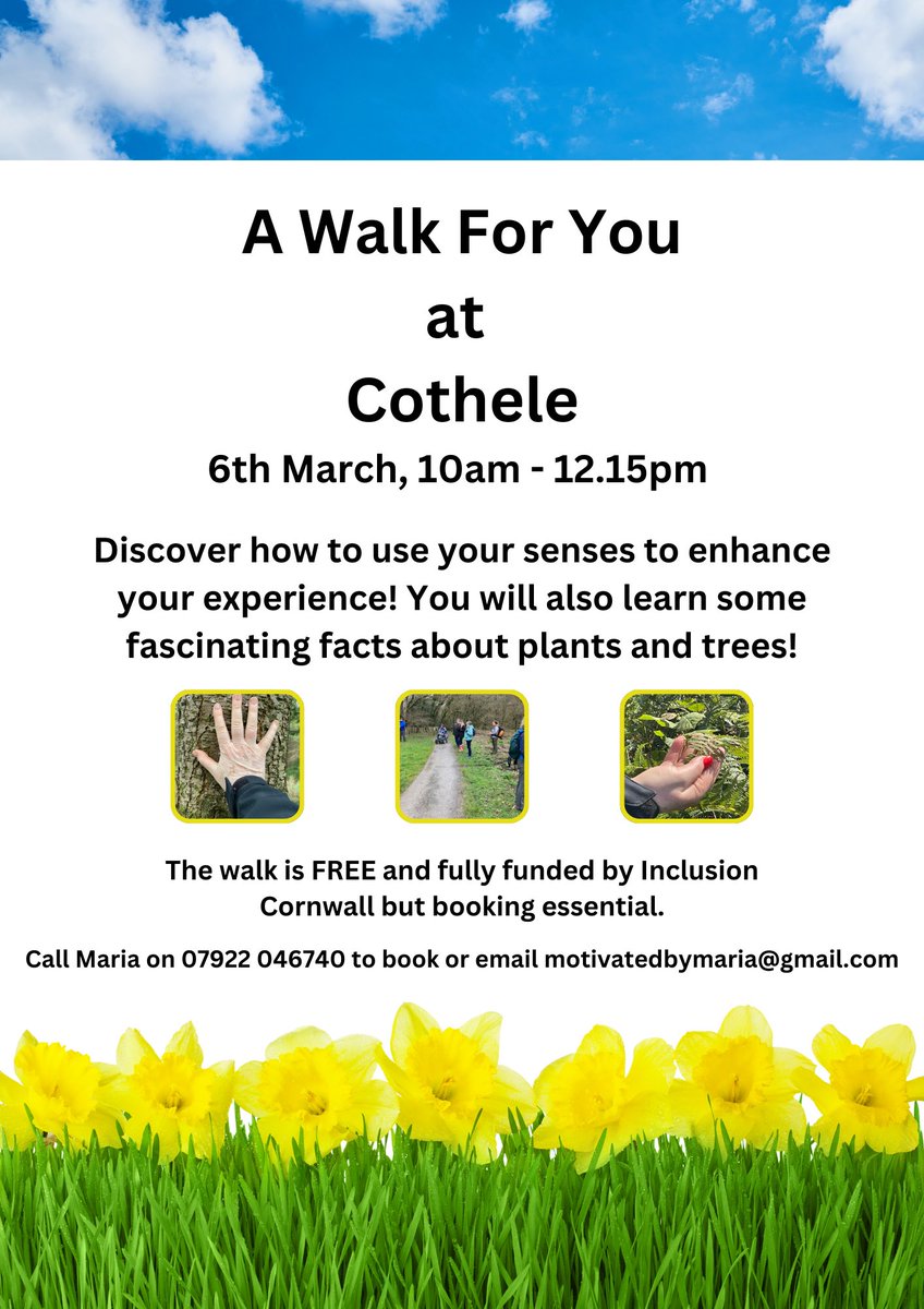 disAbility Cornwall & Isles of Scilly (@cornwalldc) on Twitter photo 