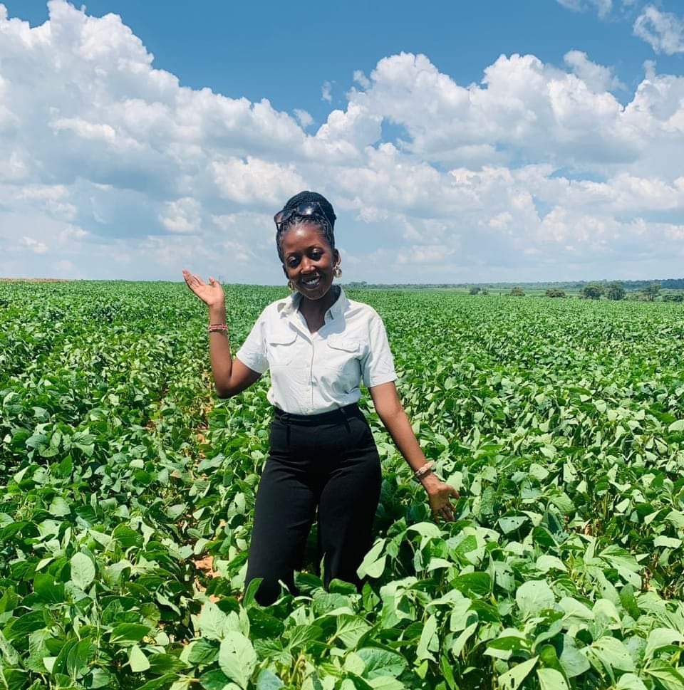 TheYoungFarmer's tweet photo. Got to visit A zambian owned Commercial Farm deeply inspired by their tenacity and resilience https://t.co/pFjoDXurdG