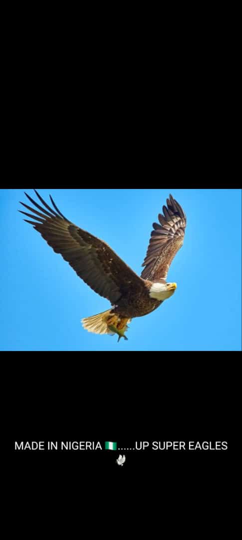 OlajonrinAdebi1's tweet photo. So we wey use Eagle as our Logo, we no get sense abi https://t.co/PKPsmTRxsR