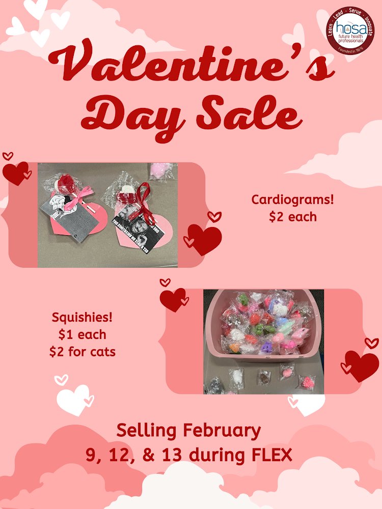 Our HOSA students are selling cardiograms and squishies for Valentine’s Day!
Everything will be sold during FLEX on February 9, 12, and 13! Make sure you bring your money! 
Cardiograms will be delivered on Valentine’s Day during 4th block