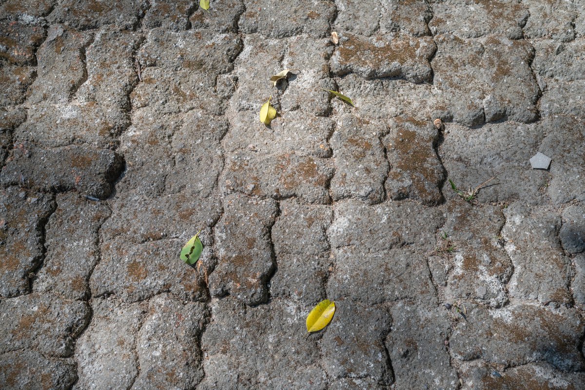 YeHangHarry's tweet image. Broken floor tiles photo reference, taken at Chiang Mai Zoo
#TextureReference #EnvironmentArt