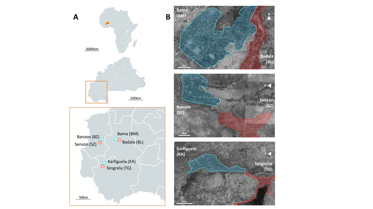 PathoBios tweet media
