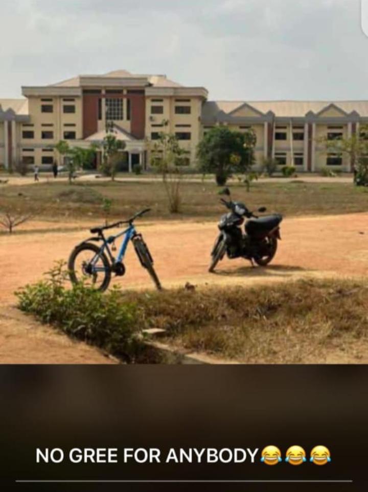 still_dolapo's tweet photo. This life no balance o🤣😂🛵 
Make God just dey provide for us maintain anything wey we get ❤️♥️ https://t.co/7D4Ikkk8S2