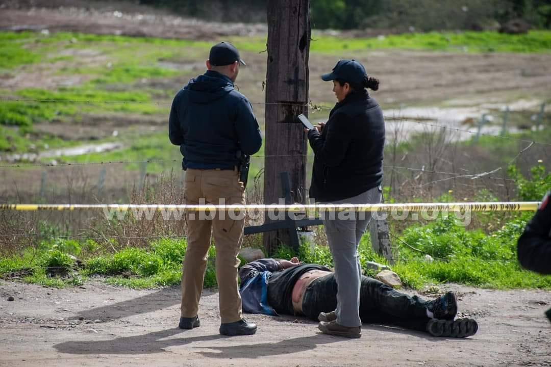 Blog del Narco México tweet media