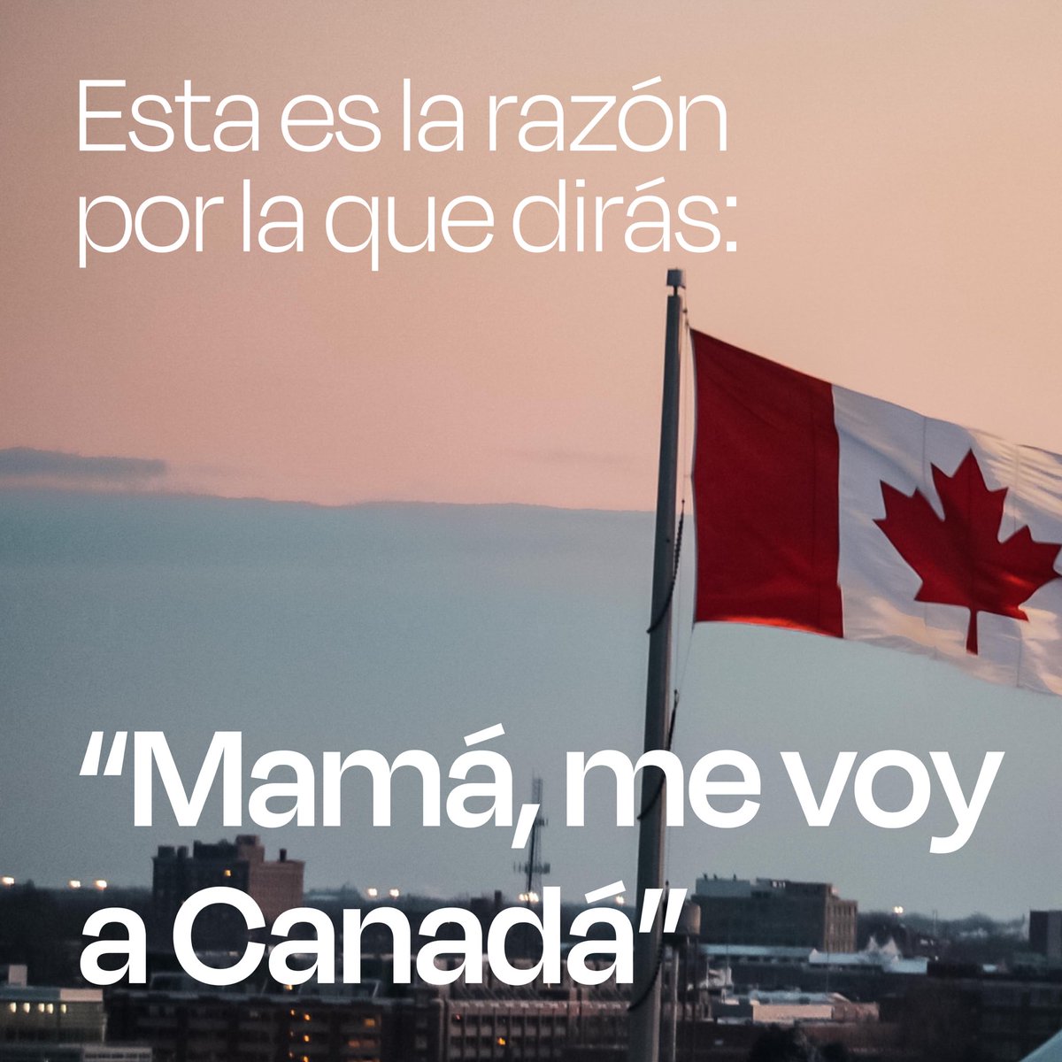Centrobritanic's tweet photo. Sueña a lo grande con El Centro Británico y atrévete a vivir una experiencia que cambiará tu vida ✈️🧳

Estudia, trabaja y vive en Canadá 🇨🇦 con nuestros programas de estancias en el extranjero https://t.co/MipfMa1sjt