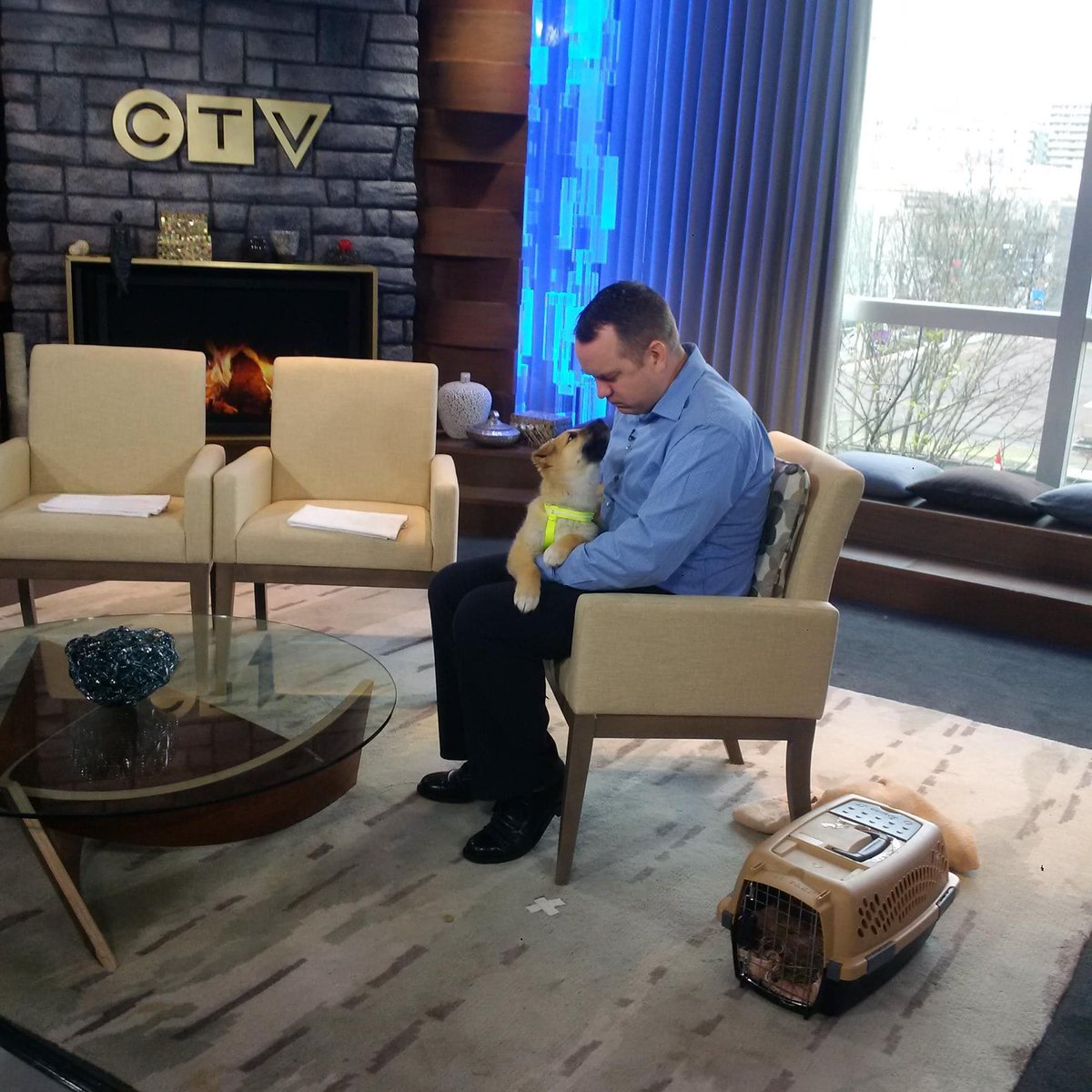 Found this old pic of me at the @CTVVancouver studios for the Noon News for one of my many adopt-a-pet segments on the programme...  If you need a puppy or pet to hug or need someone to talk to, I am here for you! 

#Bell #BellLetsTalk #BellLayoffs #CTVVancouver