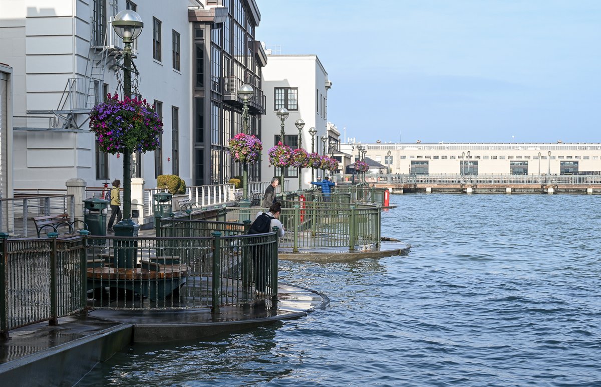 Let's talk King Tides! Join the Exploratorium and the Port on the waterfront to observe, photograph, and discuss the King Tides. Meet us tomorrow between Pier 3 and Pier 5 on the Embarcadero from 10:15 am to 11:15 am, Friday, 2/9. We'll meet rain or shine! 🌊