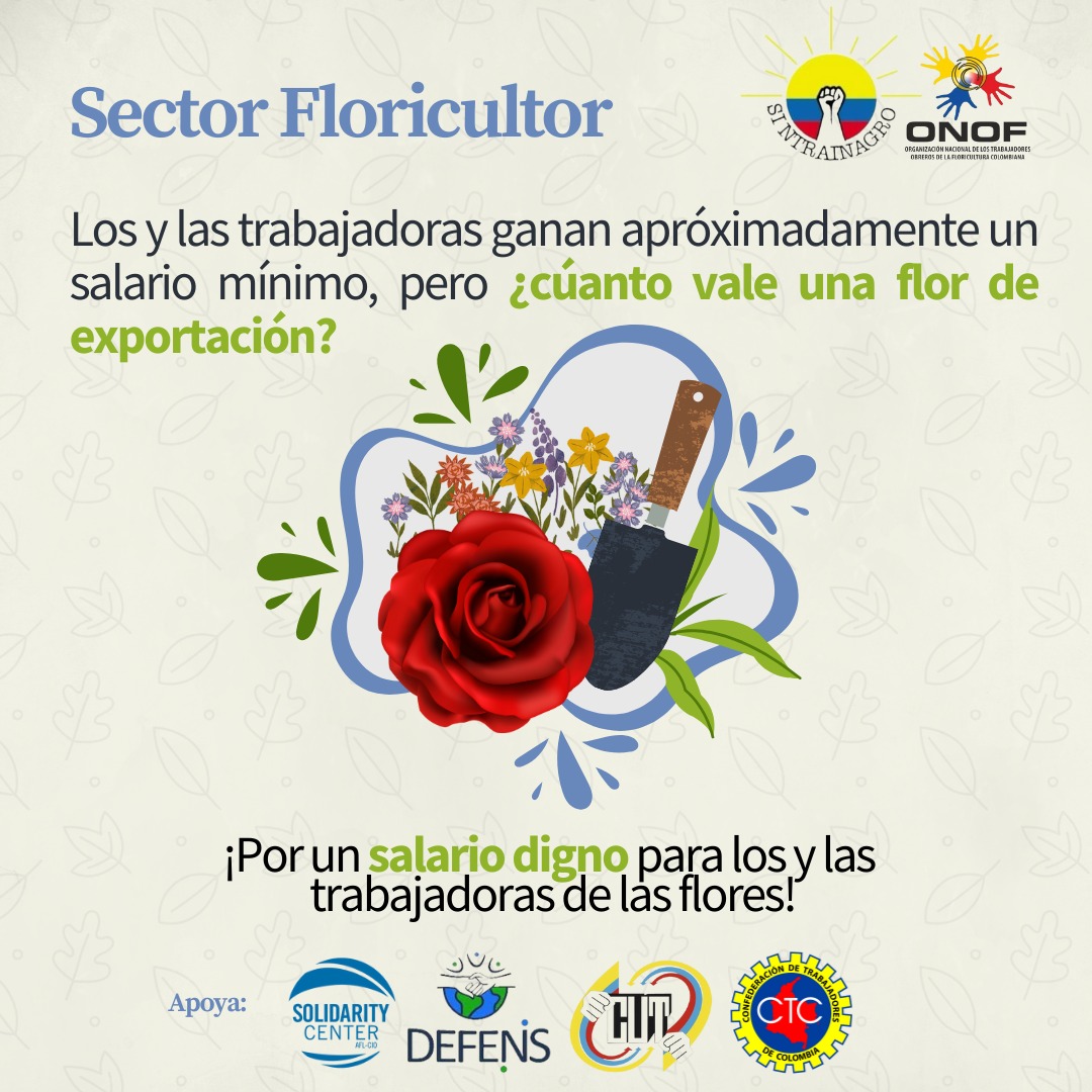 Redaloficial's tweet photo. 💐 El 14 de febrero se ha convertido el día para las y los trabajadores de las flores alcemos la voz y exijamos mejores condiciones laborales. ✊🏻

#TrabajoDecente #SectorFloricultor #TrabajoDigno #14DeFebrero

@SintrainagroNal #ONOF https://t.co/cnL0s4wzg1