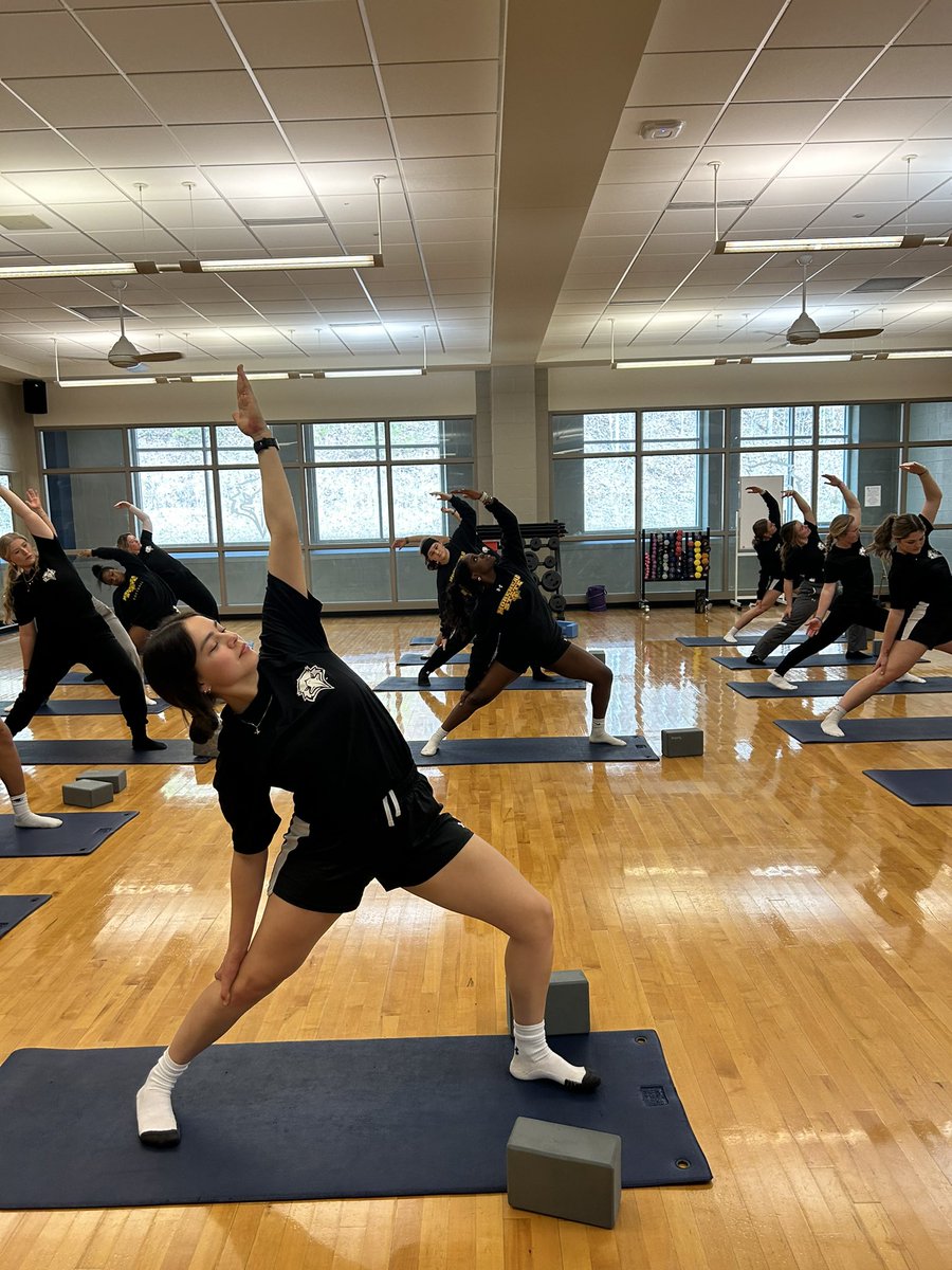 Eagles take on yoga🦅🦅