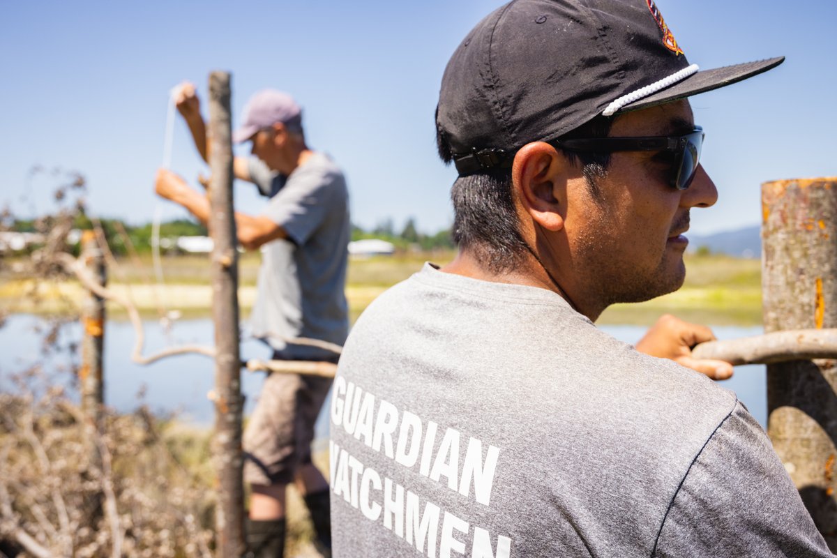 JOB ALERT ➡️ Here's a round-up of current job opportunities in the #GreatBearRainforest and #HaidaGwaii. 

Please share with your networks! New jobs will be added to this thread as they come up.

#IndigenousJobs #FNJobs #BCJobs