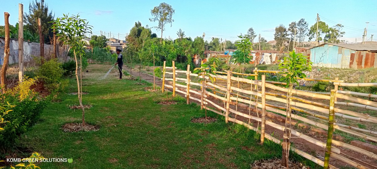 KombGreen's tweet photo. #Ecosystem
How many Can see the Living Part? #AlongRivers #GreenSpaces
#HealthyRiparian https://t.co/rH5IVj5o88