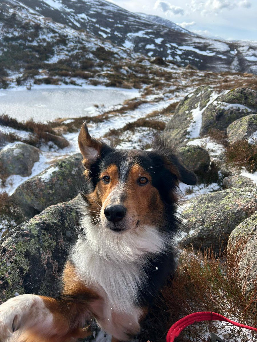 Holme Valley MRT tweet media