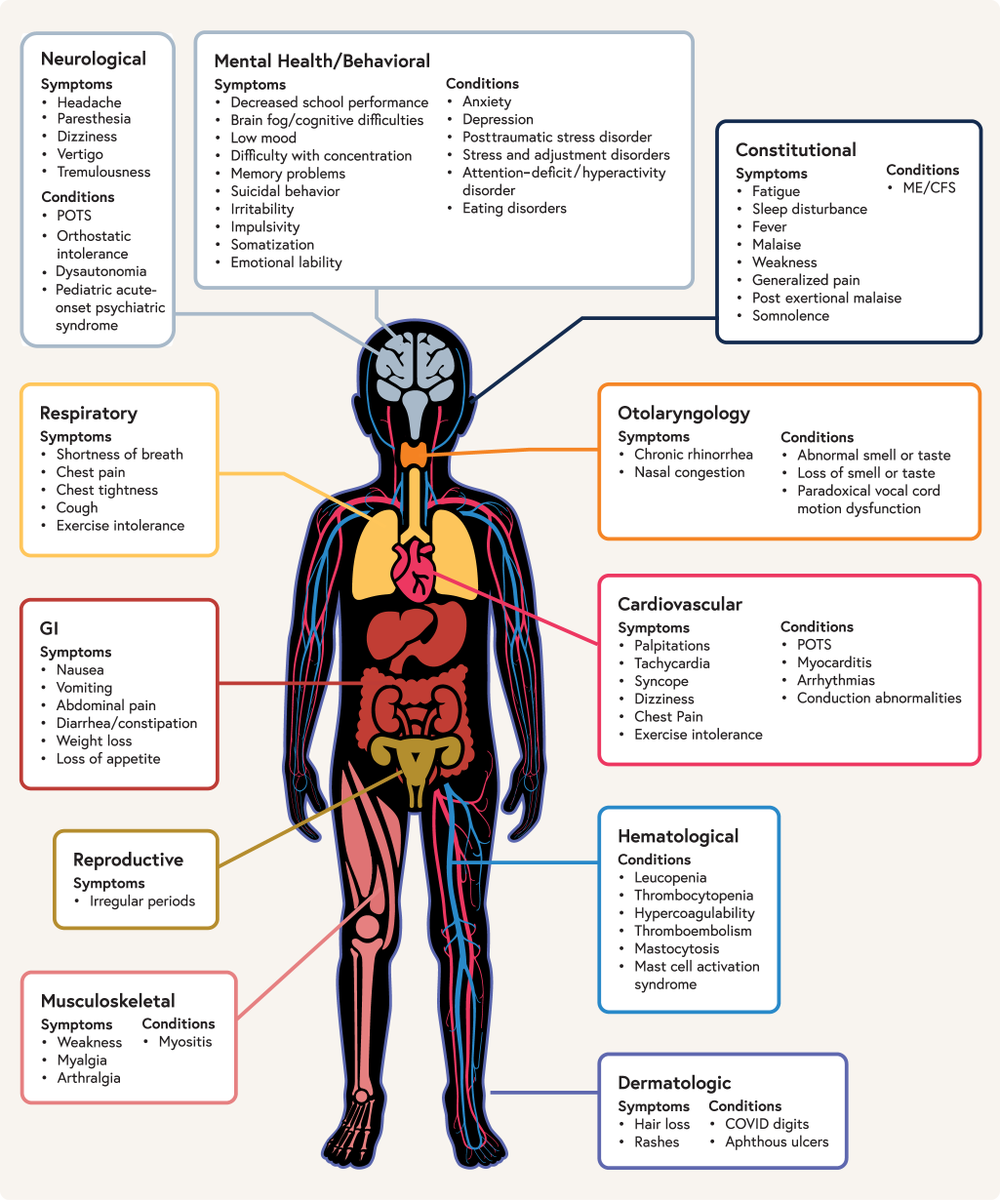A new review paper in Pediatrics estimates that Long COVID affects 6 million children in the US. Conditions and symptoms that have been reported in children affect many different organ systems.

Article: publications.aap.org/pediatrics/art…