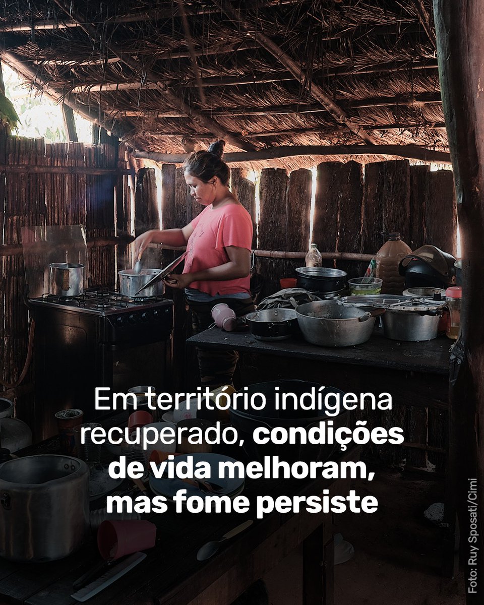 Estudo realizado em 5 terras indígenas do MS concluiu que, mesmo com dificuldades, as condições de vida do povo Guarani e Kaiowá melhorou após as retomadas de terra ocorridas nos últimos 10 anos. Leia matéria veiculada nesta 4ª pelo O Joio e o Trigo: ojoioeotrigo.com.br/2024/02/fome-e…